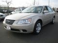 Camel Pearl - Sonata GLS Photo No. 1