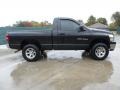 2007 Brilliant Black Crystal Pearl Dodge Ram 1500 ST Regular Cab 4x4  photo #2