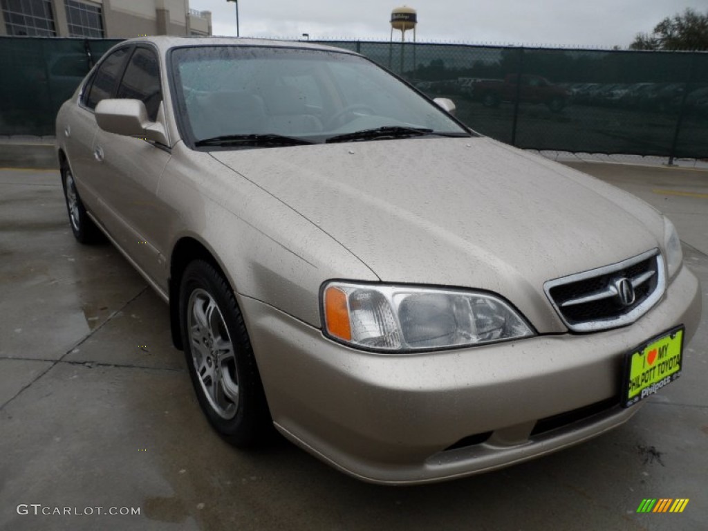 Naples Gold Metallic Acura TL