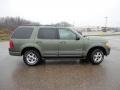 Estate Green Metallic - Explorer XLT 4x4 Photo No. 17