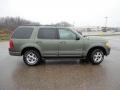 2002 Estate Green Metallic Ford Explorer XLT 4x4  photo #17