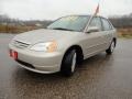 Titanium Metallic - Civic EX Sedan Photo No. 11