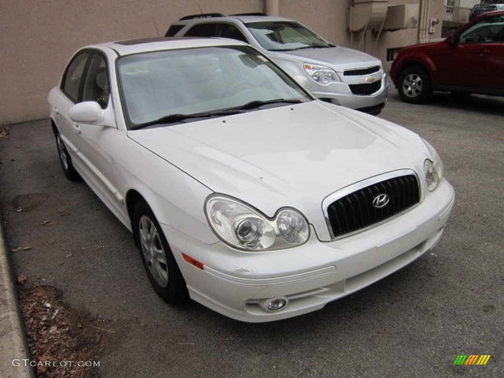 Noble White Hyundai Sonata