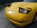 2004 Millenium Yellow Chevrolet Corvette Coupe  photo #12