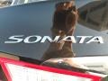 2012 Midnight Black Hyundai Sonata GLS  photo #15