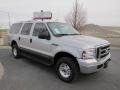 2005 Silver Birch Metallic Ford Excursion XLT 4x4  photo #33