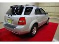 Bright Silver - Sorento EX Photo No. 6