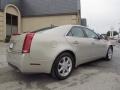 Gold Mist - CTS Sedan Photo No. 3