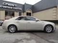 Gold Mist - CTS Sedan Photo No. 4
