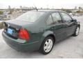 Bright Green Pearl - Jetta GLS VR6 Sedan Photo No. 7