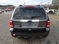 2010 Sterling Grey Metallic Ford Escape Limited V6 4WD  photo #3