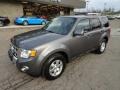 2010 Sterling Grey Metallic Ford Escape Limited V6 4WD  photo #8