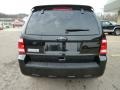 2010 Black Ford Escape XLT Sport Package 4WD  photo #3
