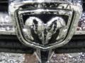 Black - Caliber SXT Photo No. 25