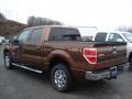 2011 Golden Bronze Metallic Ford F150 XLT SuperCrew 4x4  photo #6