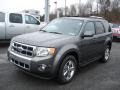 2012 Sterling Gray Metallic Ford Escape Limited V6 4WD  photo #4