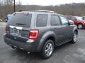 2012 Sterling Gray Metallic Ford Escape Limited V6 4WD  photo #8