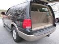 2003 Black Clearcoat Ford Expedition Eddie Bauer  photo #9
