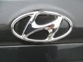 2012 Hyundai Santa Fe SE V6 Badge and Logo Photo