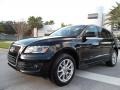 2009 Brilliant Black Audi Q5 3.2 Premium quattro  photo #1
