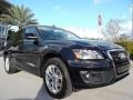 2009 Brilliant Black Audi Q5 3.2 Premium quattro  photo #14