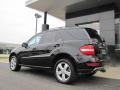 Black - ML 350 4Matic Photo No. 9
