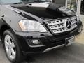 Black - ML 350 4Matic Photo No. 16