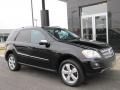 Black - ML 350 4Matic Photo No. 17