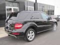 Black - ML 350 4Matic Photo No. 20
