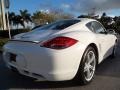 2010 Carrara White Porsche Cayman   photo #8
