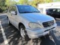 Brilliant Silver Metallic - ML 320 4Matic Photo No. 1