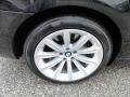 2007 BMW 7 Series 750i Sedan Wheel and Tire Photo