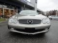 Pewter Metallic - SL 500 Roadster Photo No. 2