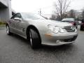 Pewter Metallic - SL 500 Roadster Photo No. 3