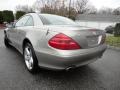 Pewter Metallic - SL 500 Roadster Photo No. 10