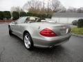 Pewter Metallic - SL 500 Roadster Photo No. 18