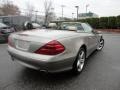 Pewter Metallic - SL 500 Roadster Photo No. 20