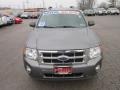 2009 Sterling Grey Metallic Ford Escape XLT V6 4WD  photo #2