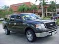 2006 Dark Stone Metallic Ford F150 XLT SuperCrew  photo #1