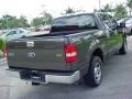 2006 Dark Stone Metallic Ford F150 XLT SuperCrew  photo #3