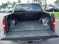 2006 Dark Stone Metallic Ford F150 XLT SuperCrew  photo #5