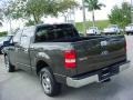 2006 Dark Stone Metallic Ford F150 XLT SuperCrew  photo #6