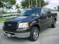 2006 Dark Stone Metallic Ford F150 XLT SuperCrew  photo #8