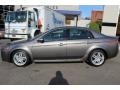Polished Metal Metallic - TL 3.2 Photo No. 7