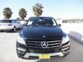 Black - ML 350 4Matic Photo No. 2
