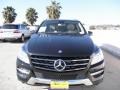 Black - ML 350 4Matic Photo No. 2