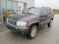 2004 Dark Khaki Pearl Jeep Grand Cherokee Limited 4x4  photo #2