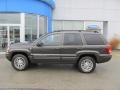 2004 Dark Khaki Pearl Jeep Grand Cherokee Limited 4x4  photo #4