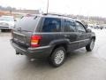 2004 Dark Khaki Pearl Jeep Grand Cherokee Limited 4x4  photo #7