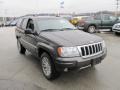 2004 Dark Khaki Pearl Jeep Grand Cherokee Limited 4x4  photo #9